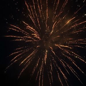 Meet your Posher, Carter